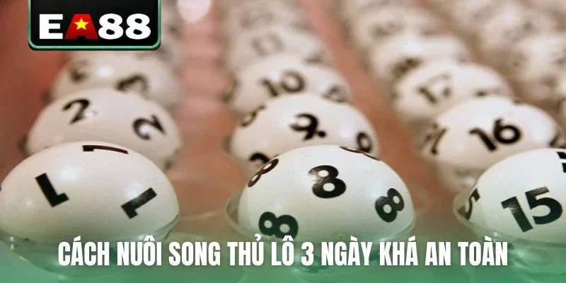 Cách nuôi song thủ lô 3 ngày khá an toàn