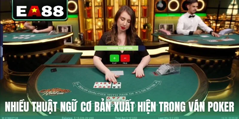 Nhiều thuật ngữ cơ bản xuất hiện trong ván Poker