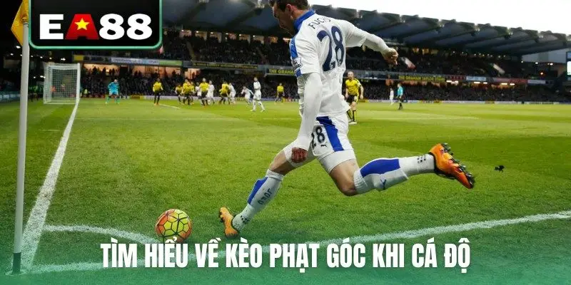 Tìm hiểu về kèo phạt góc khi cá độ